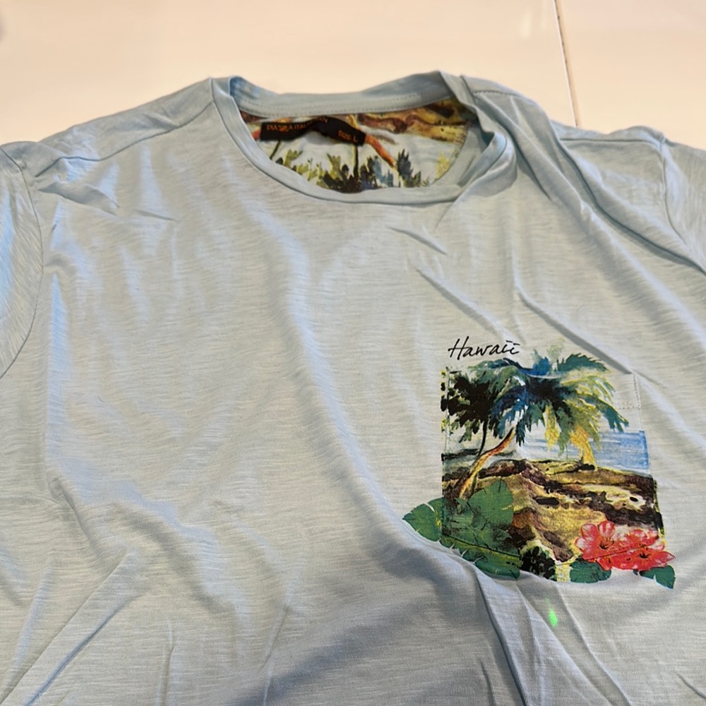 Hawaii Graphic Light Blue T-Shirt